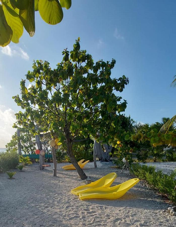 Pension Tiputa Lodge Rangiroa Exterior foto