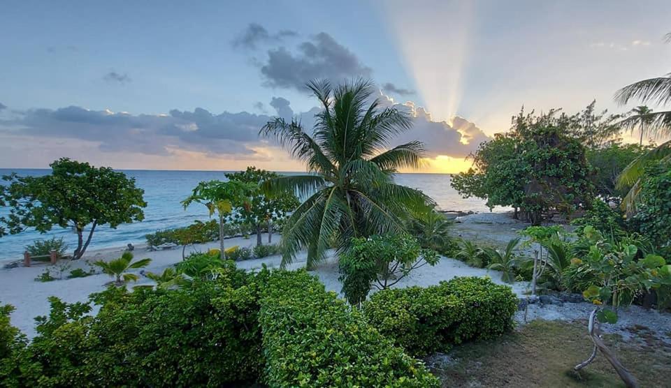 Pension Tiputa Lodge Rangiroa Exterior foto